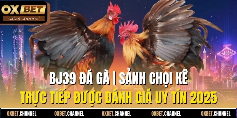 bj39 đá gà sảnh chọi kê trực tiếp được đánh giá uy tín 2025