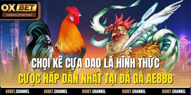 Chọi kê cựa dao là hình thức cược hấp dẫn nhất tại đá gà AE888