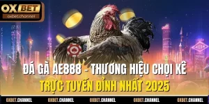 đá gà ae888 thượng hiệu chọi kê new 2025