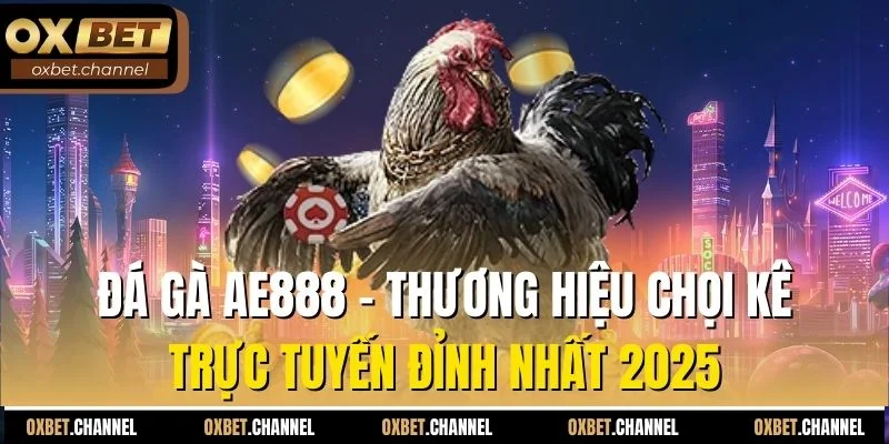 đá gà ae888 thượng hiệu chọi kê new 2025