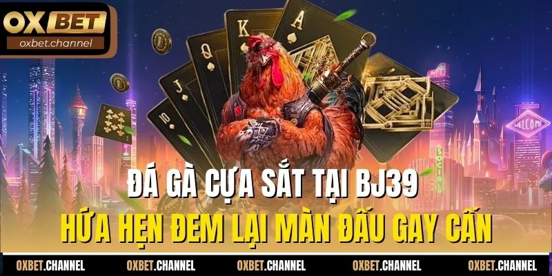 Đá gà cựa sắt tại BJ39 hứa hẹn đem lại màn đấu gay cấn