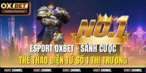 esport oxbet sảnh cược thể thao điện tử số 1 thị trường