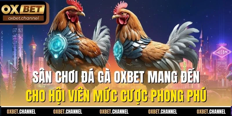 Sân chơi đá gà Oxbet mang đến cho hội viên mức cược phong phú