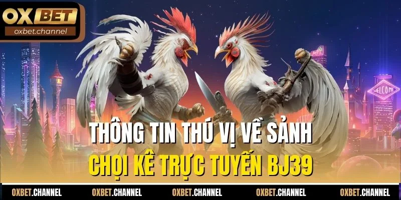 Thông tin thú vị về sảnh chọi kê trực tuyến BJ39